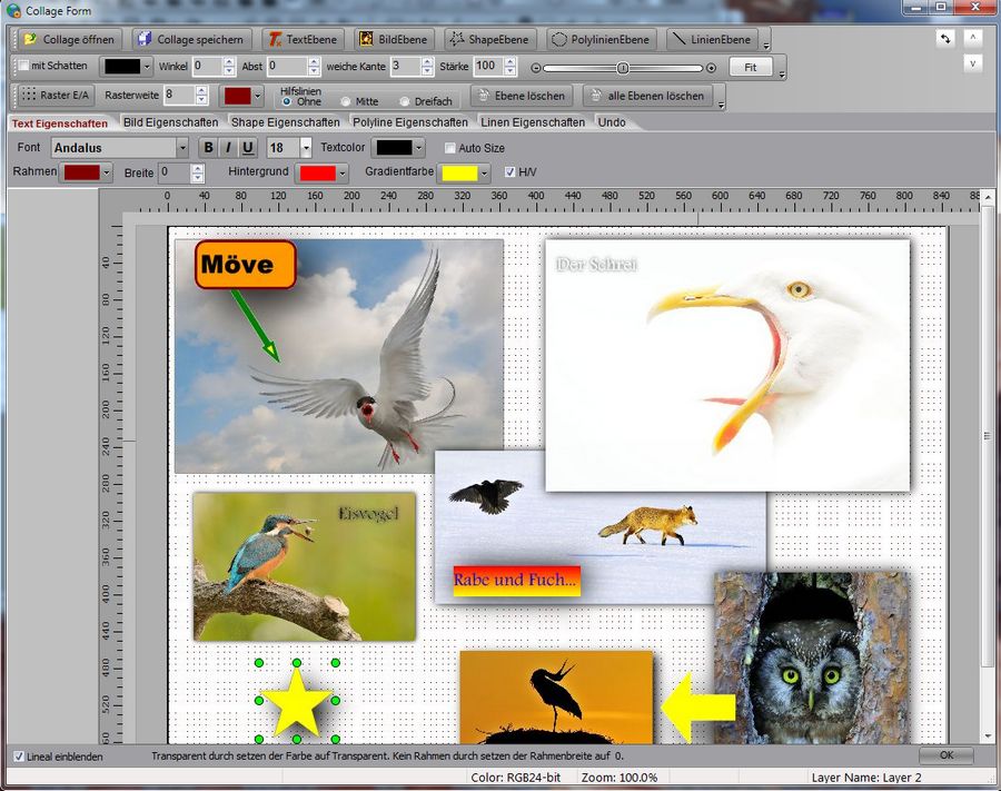 CollageBild1